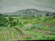 Cornfields with Elms